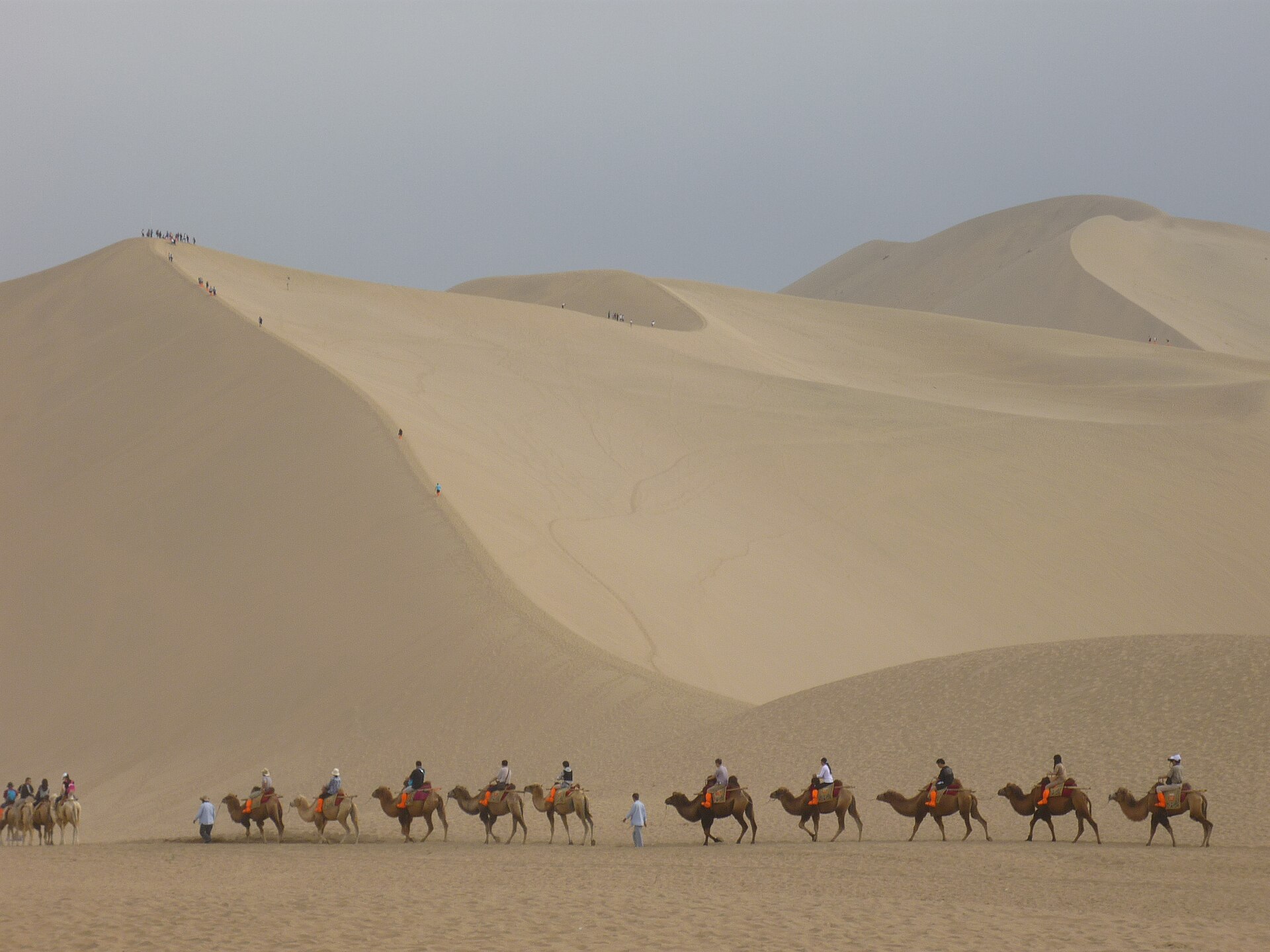 Dunas de Mingsha · camellos