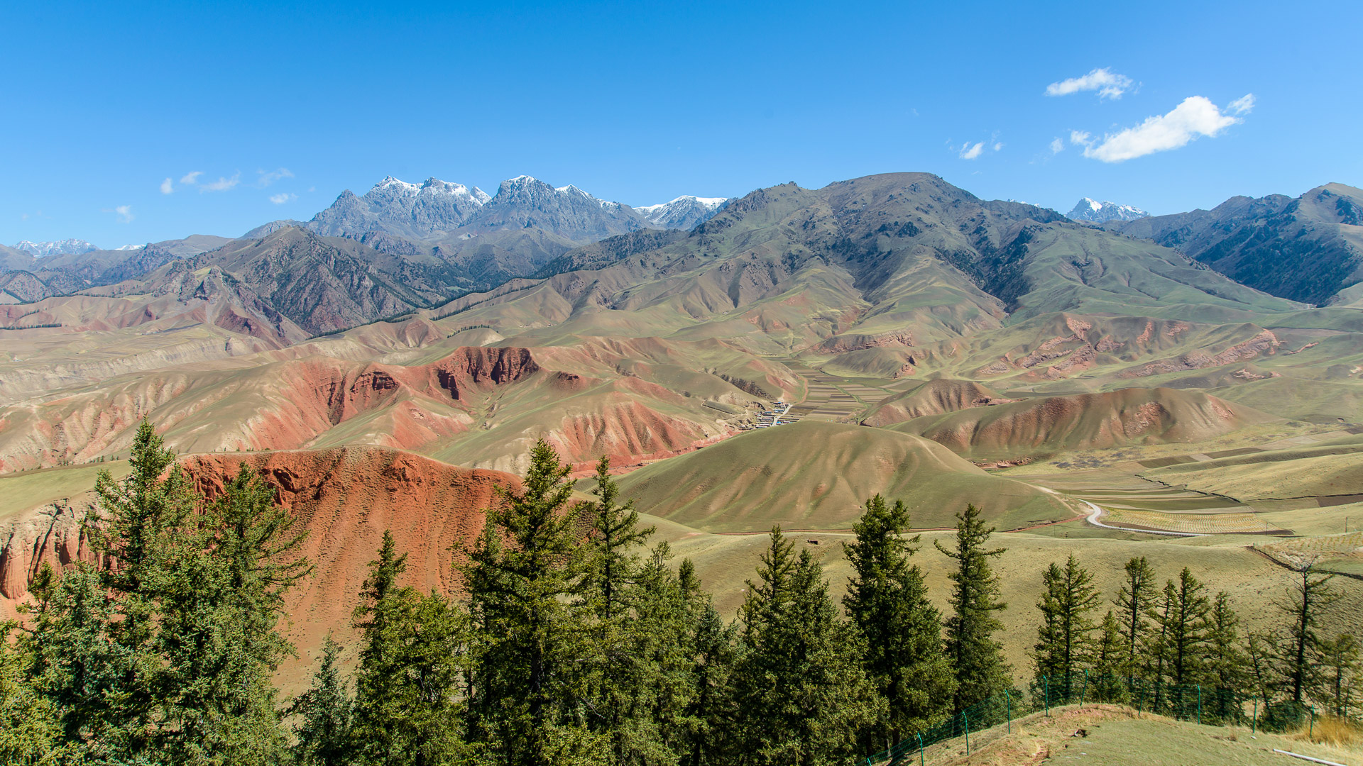 Praderas de altura con yaks en Qilian, y campos de colza amarillos en Menyuan