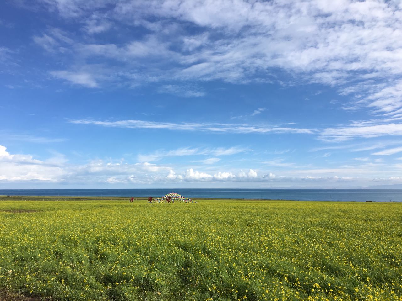 Orilla del lago Qinghai con agua azul intensa y montañas nevadas al fondo