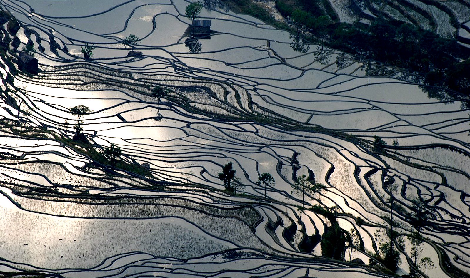 Arrozales en terrazas del pueblo hani, Yunnan