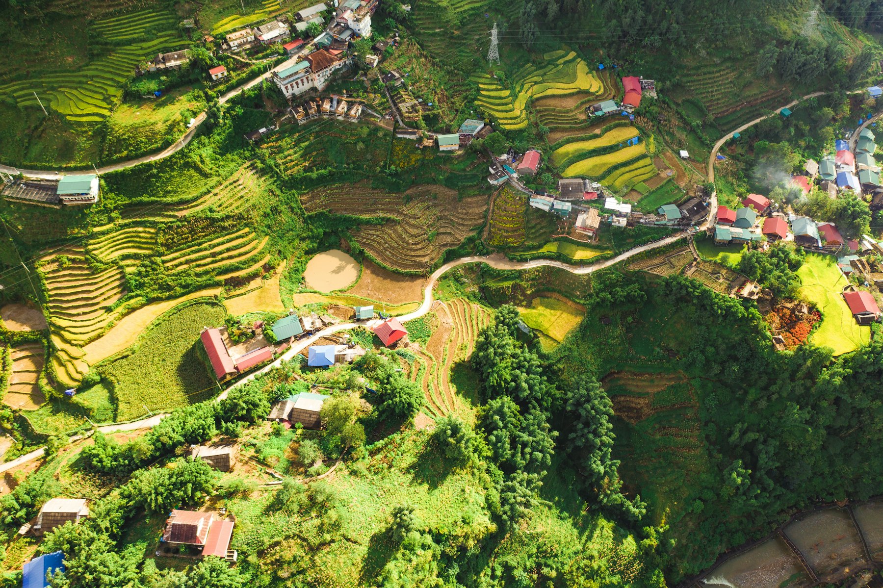 Aldea tradicional entre arrozales en terrazas del sur de China